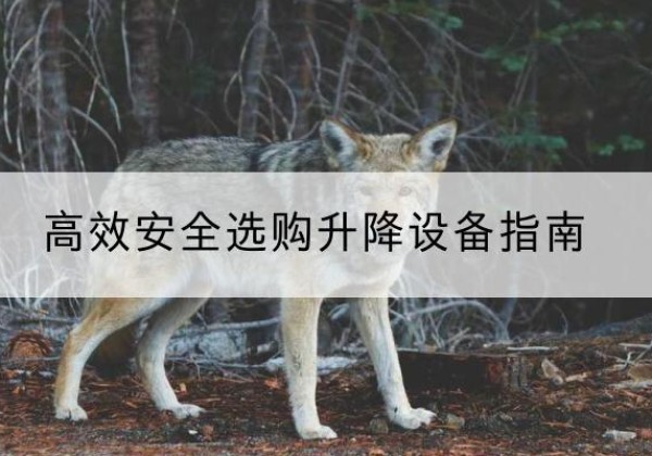 井研升降货梯厂家推荐-*安全选购升降设备指南