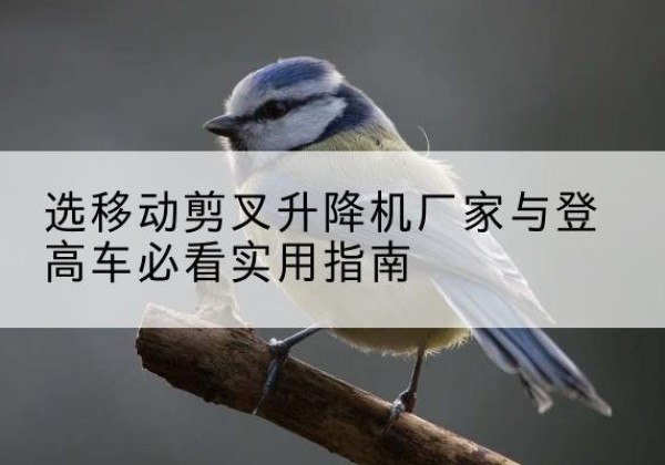 井研电动升降机厂家-选移动剪叉升降机厂家与登高车必看实用指南