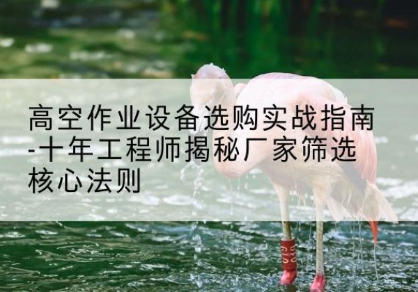 井研剪叉式升降机厂家-高空作业设备选购实战指南-十年工程师揭秘厂家筛选核心法则